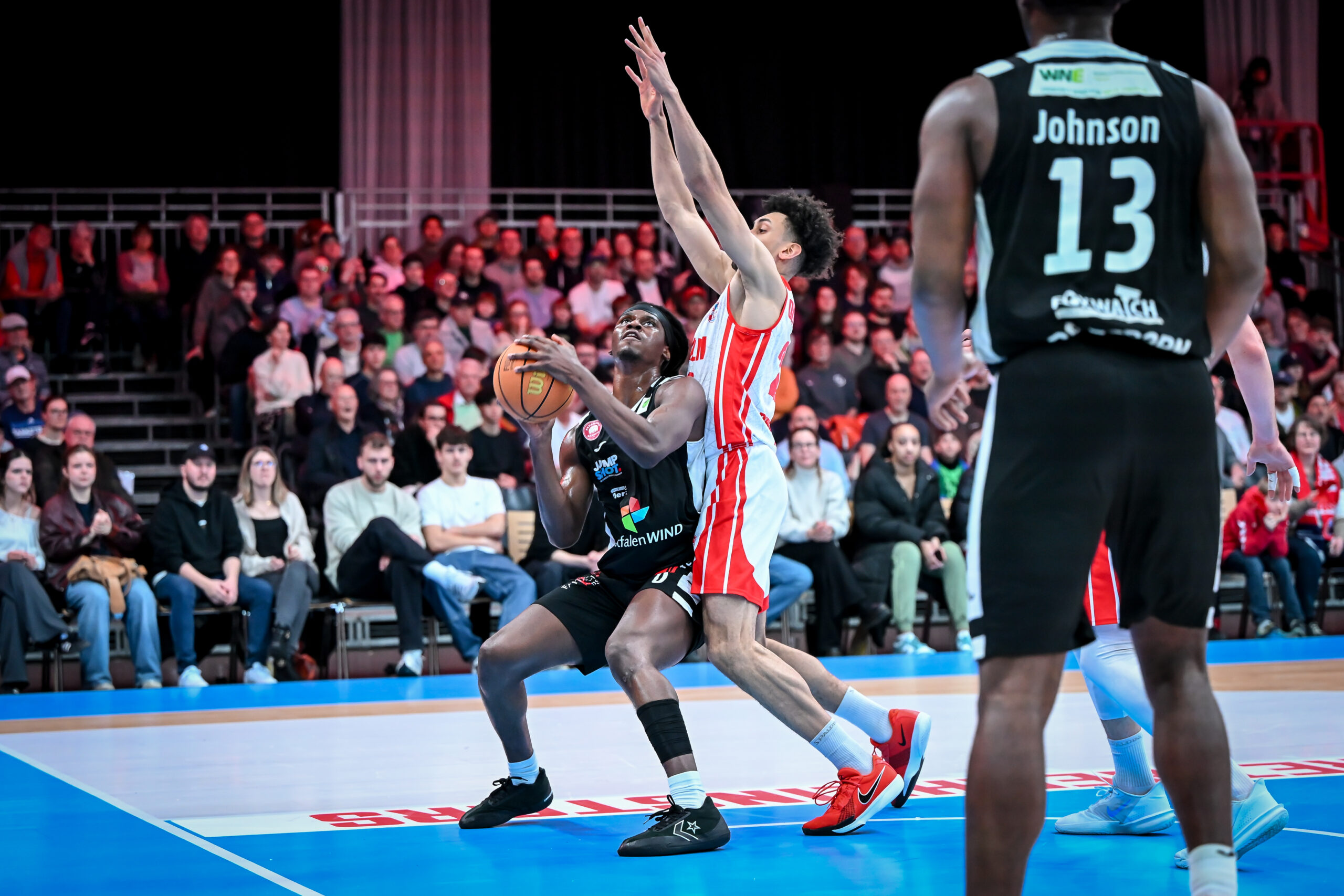 Barmer 2. Basketball Bundesliga ProA: Rheinstars Köln vs. Paderborn Baskets, 01.02.2026
